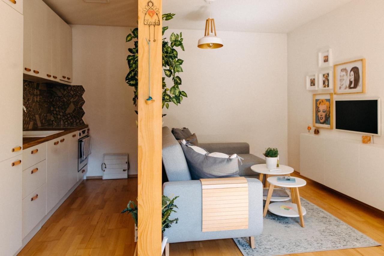 Apartman V Srdci Znojma „Jako Doma“ ซนอยโม ภายนอก รูปภาพ
